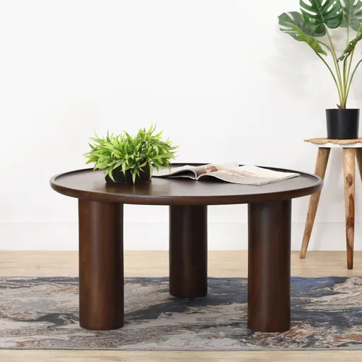 Benny Walnut Finish Mango Coffee Table